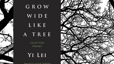 my_name_will_grow_wide_like_a_tree.jpg